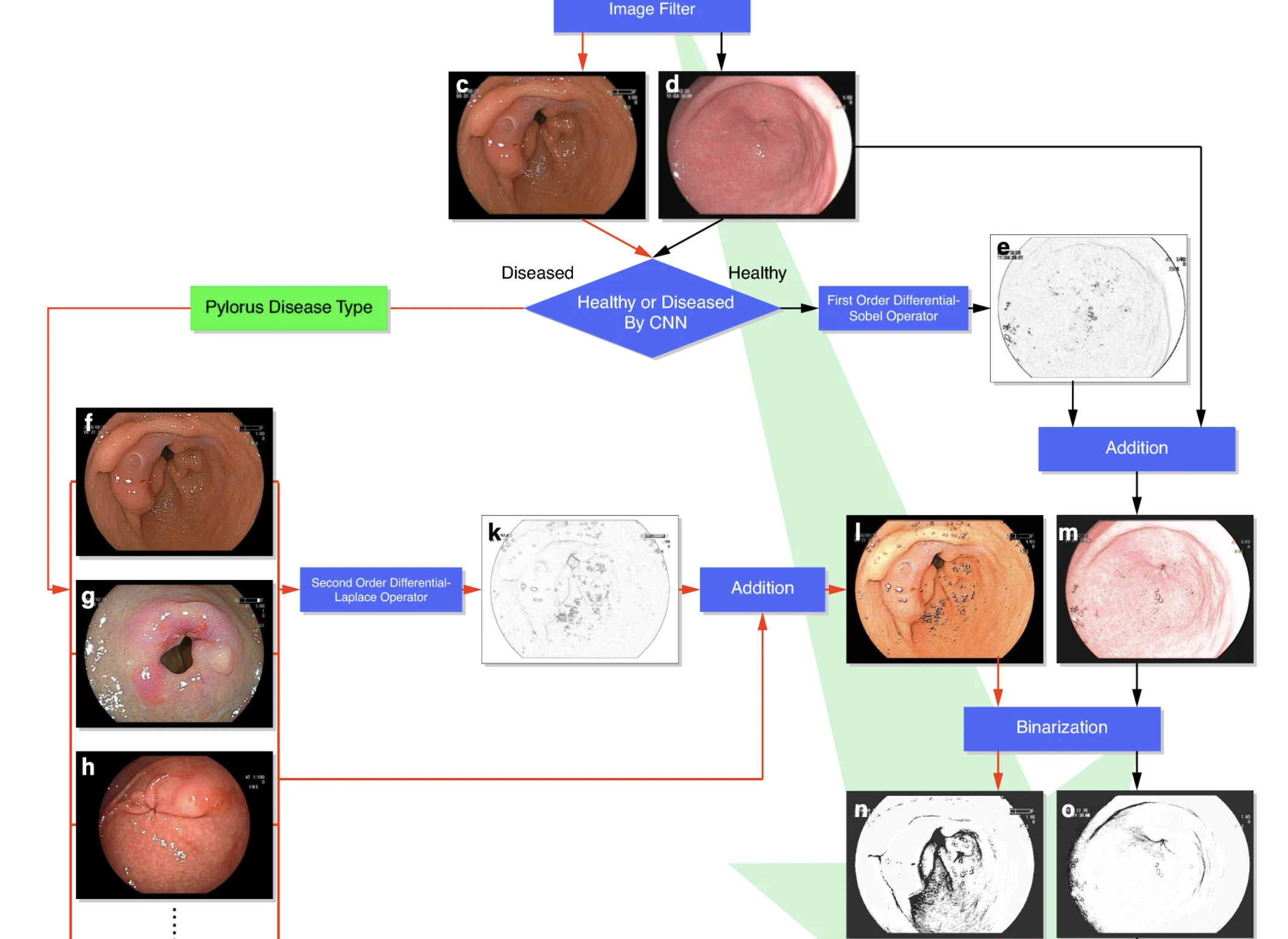 endoscopic-cnn.jpg