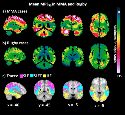 rugby-mma.gif